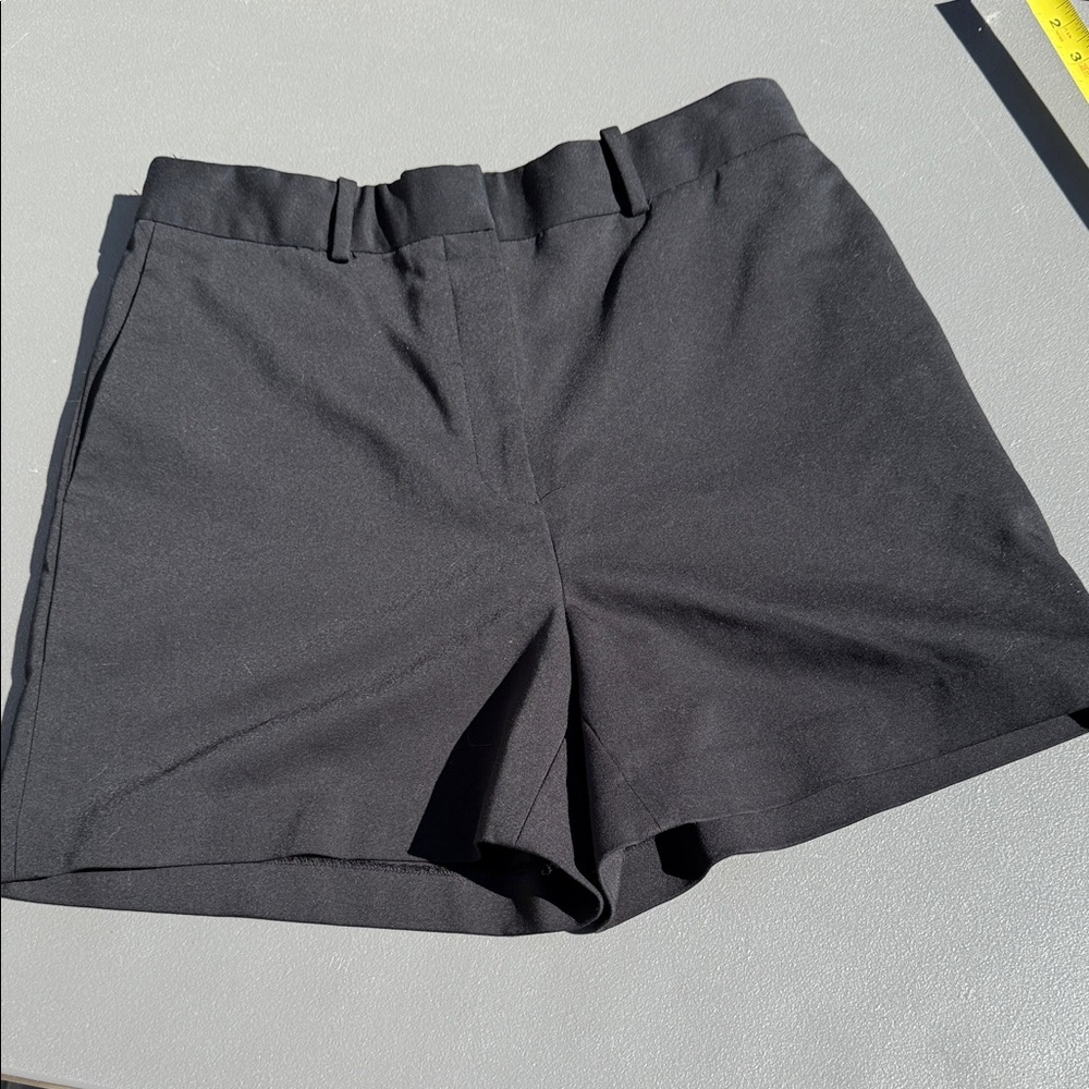 Aritzia Babaton Size 10 NWOT ddaisyttaylor pleated black shorts with pockets